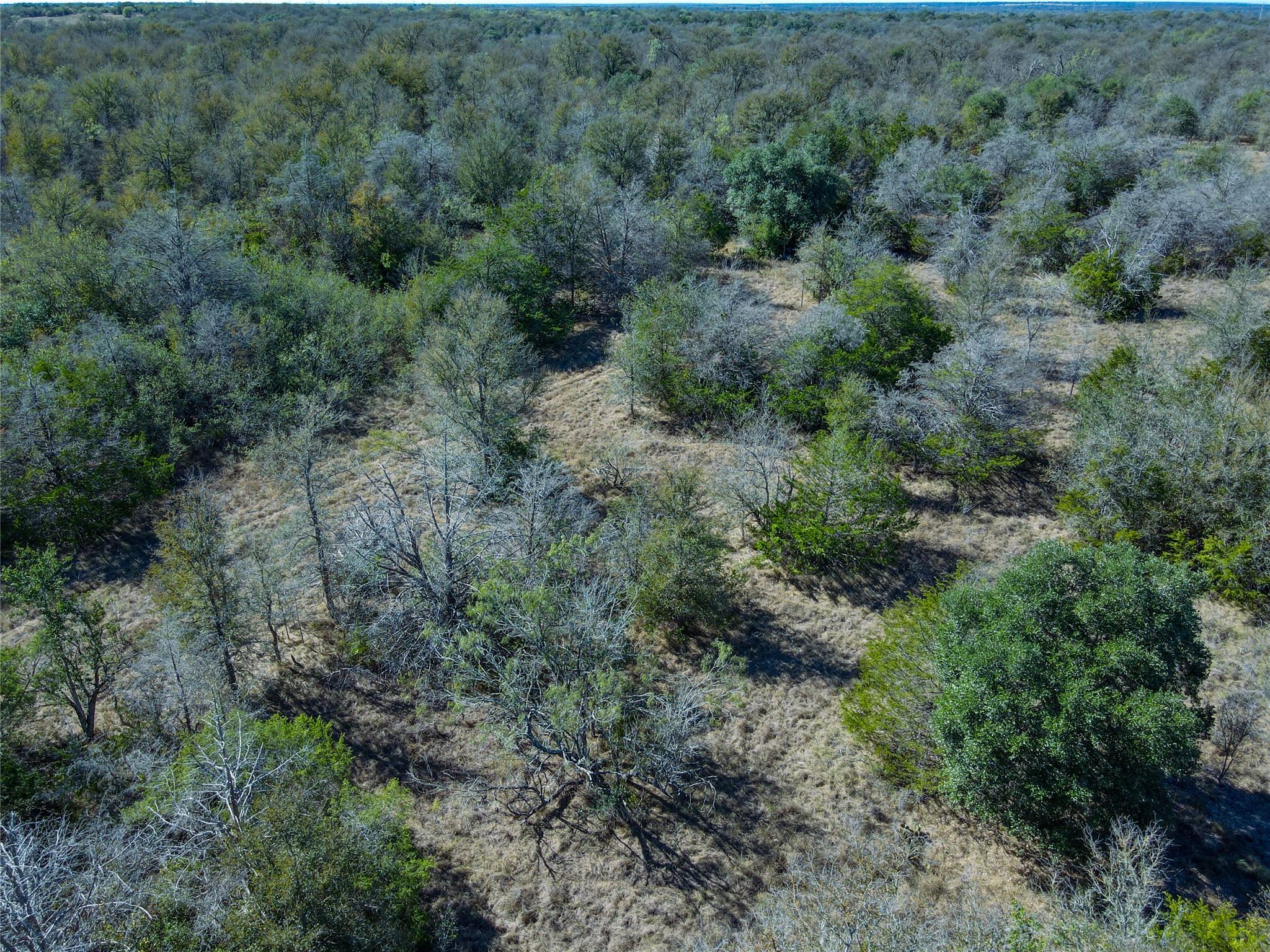 TBD LOT AB Watterson Rd, Bastrop, TX 78602