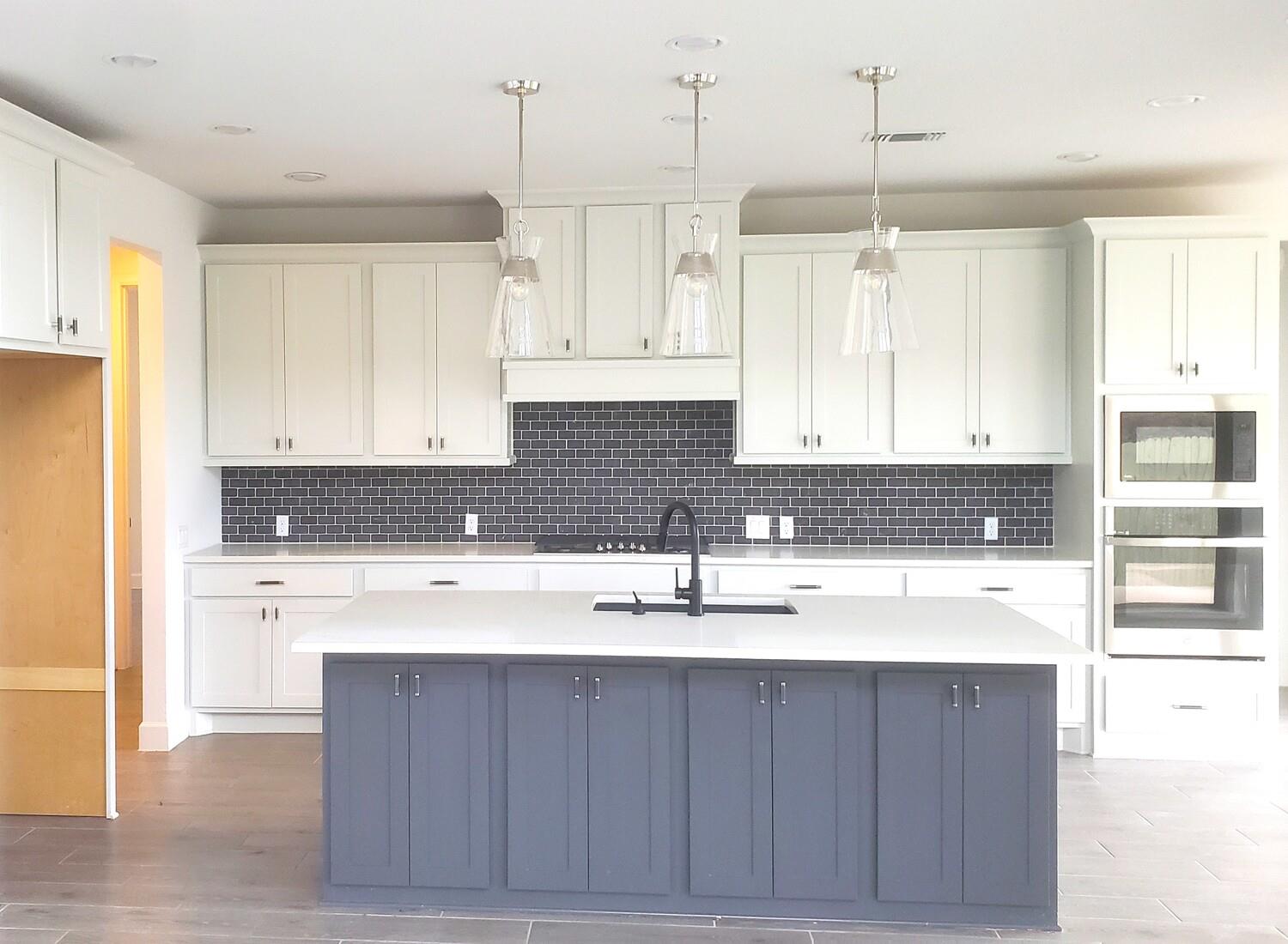 205 Roseleaf Ct, Liberty Hill, TX 78642