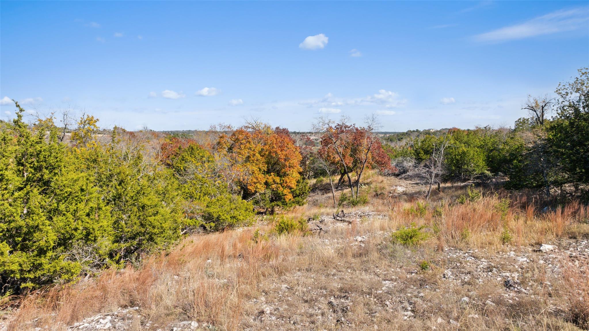 271 S Cielo Vista Ct, Fredericksburg, TX 78624