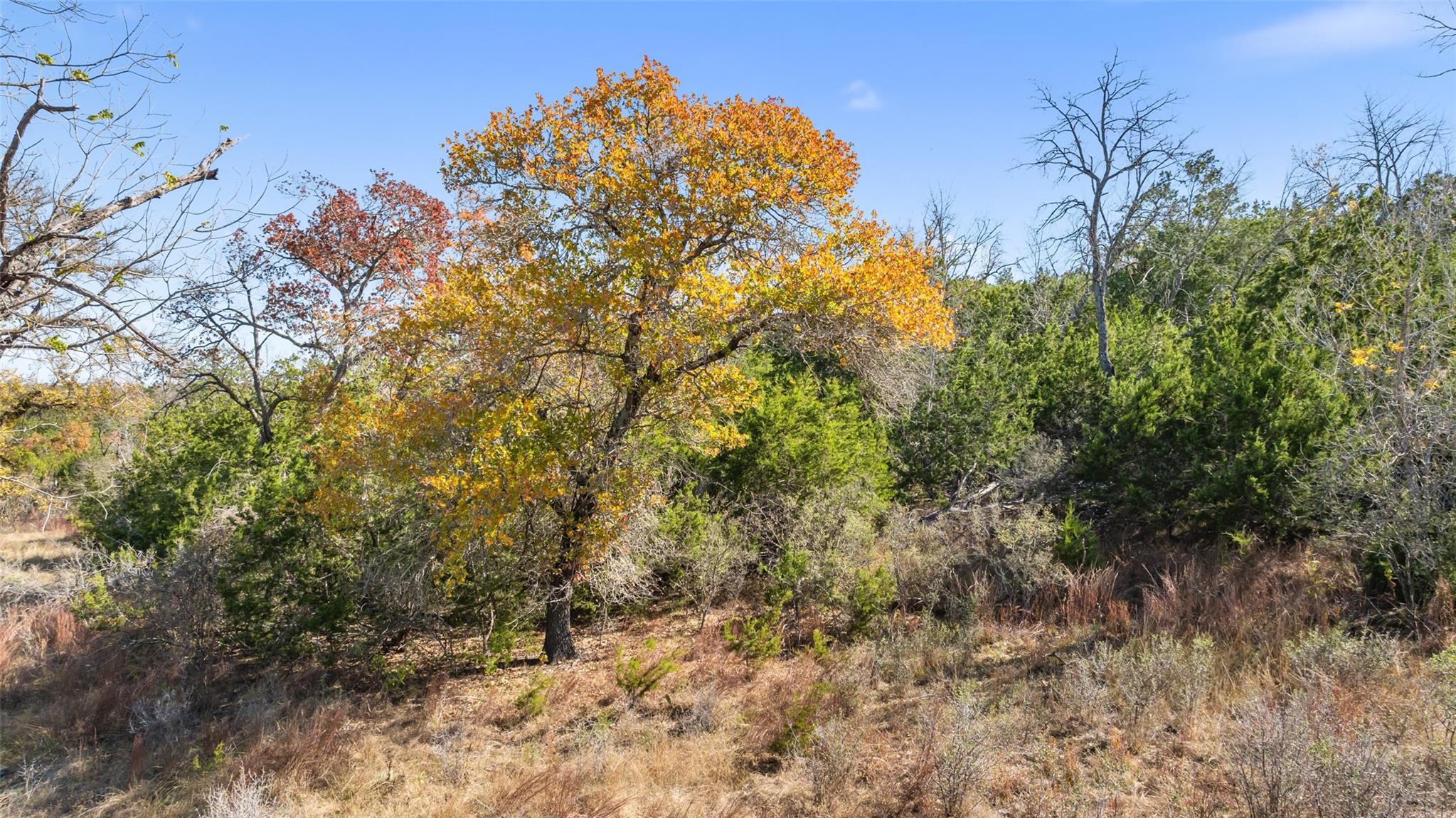 271 S Cielo Vista Ct, Fredericksburg, TX 78624