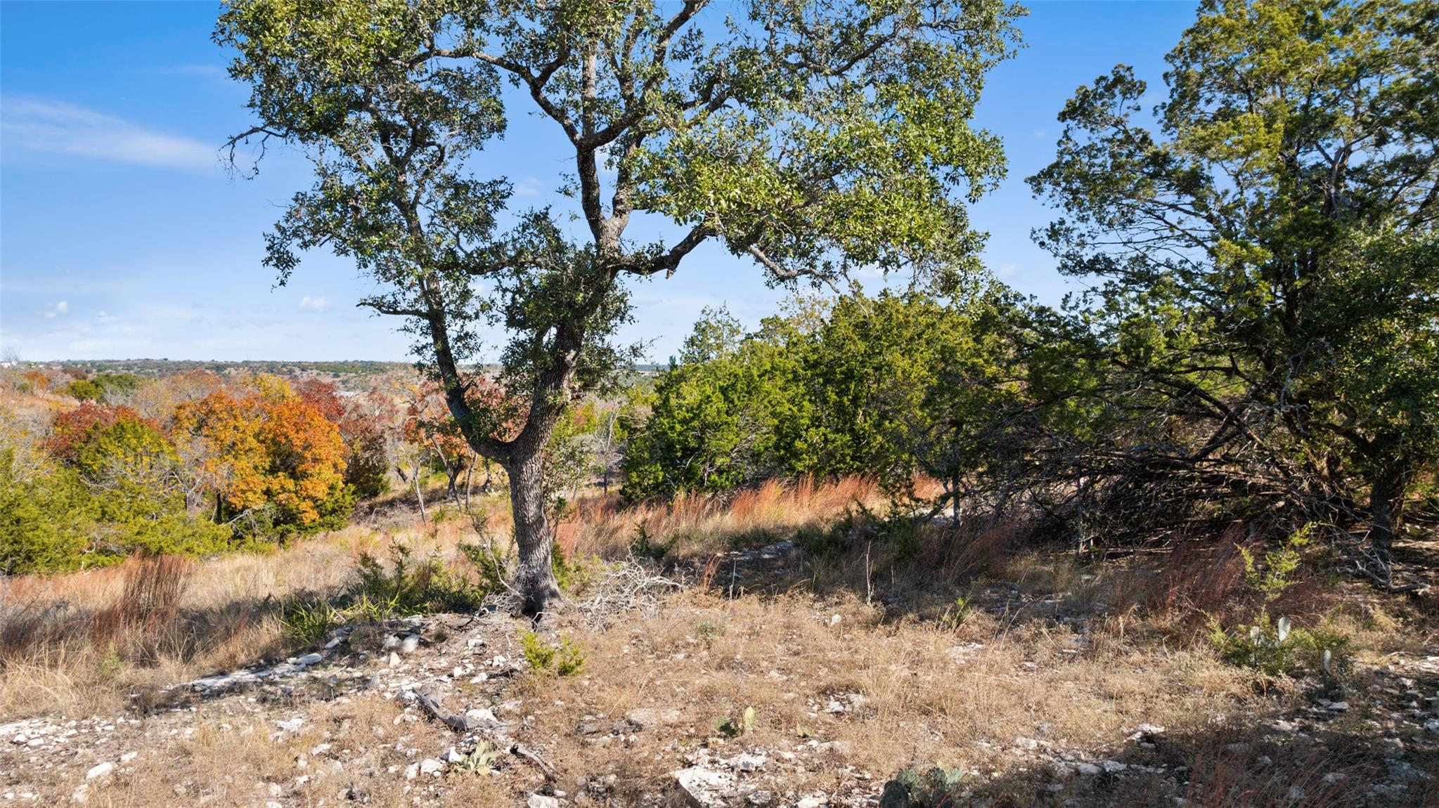 271 S Cielo Vista Ct, Fredericksburg, TX 78624