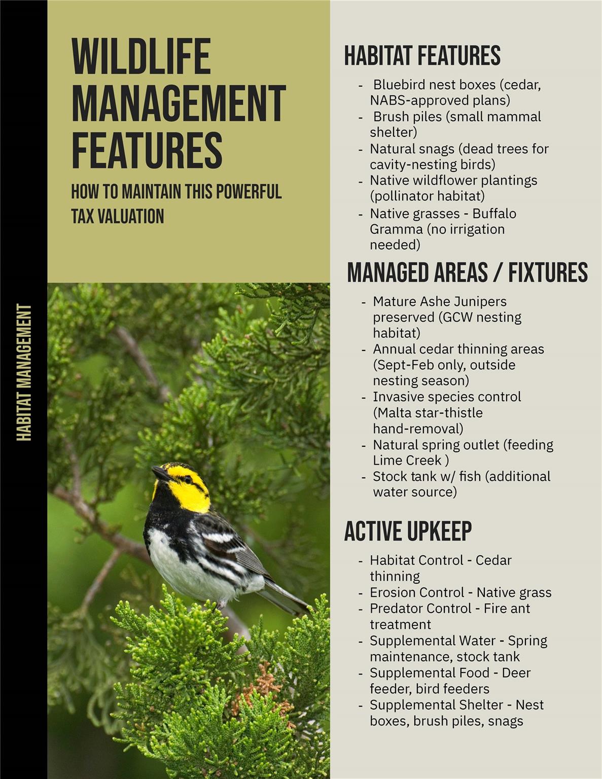 12901 Wire Rd, Leander, TX 78641