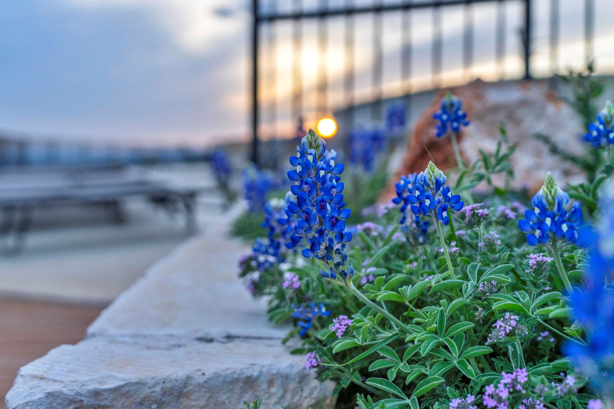 Lot 34 High Range Drive, Big Creek Ranch, Kingsland, TX 78639