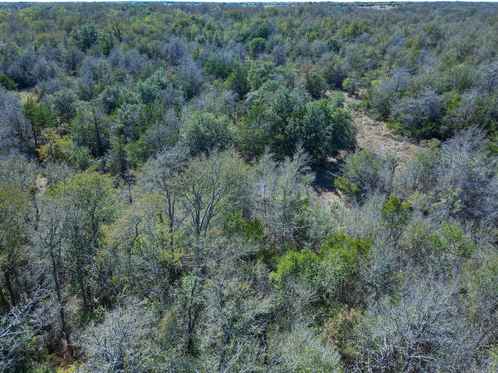 TBD LOT B Watterson Rd, Bastrop, TX 78602
