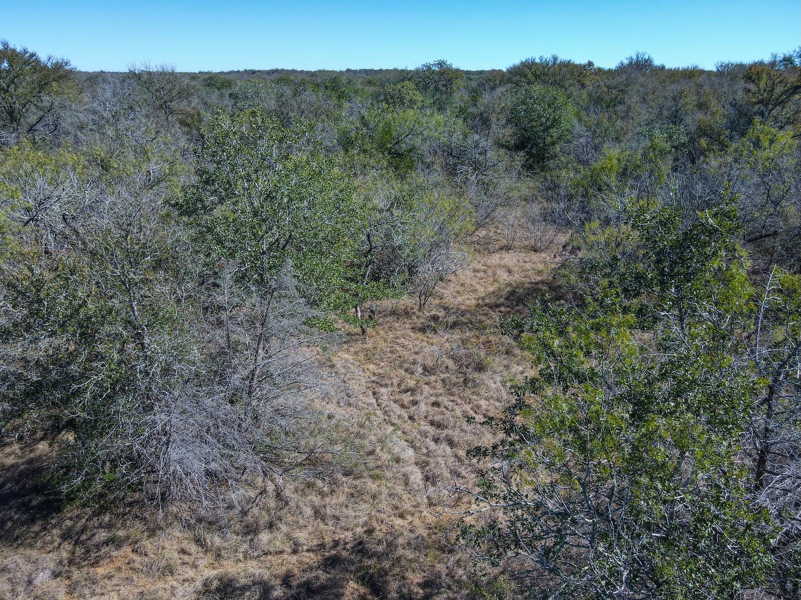 TBD LOT B Watterson Rd, Bastrop, TX 78602