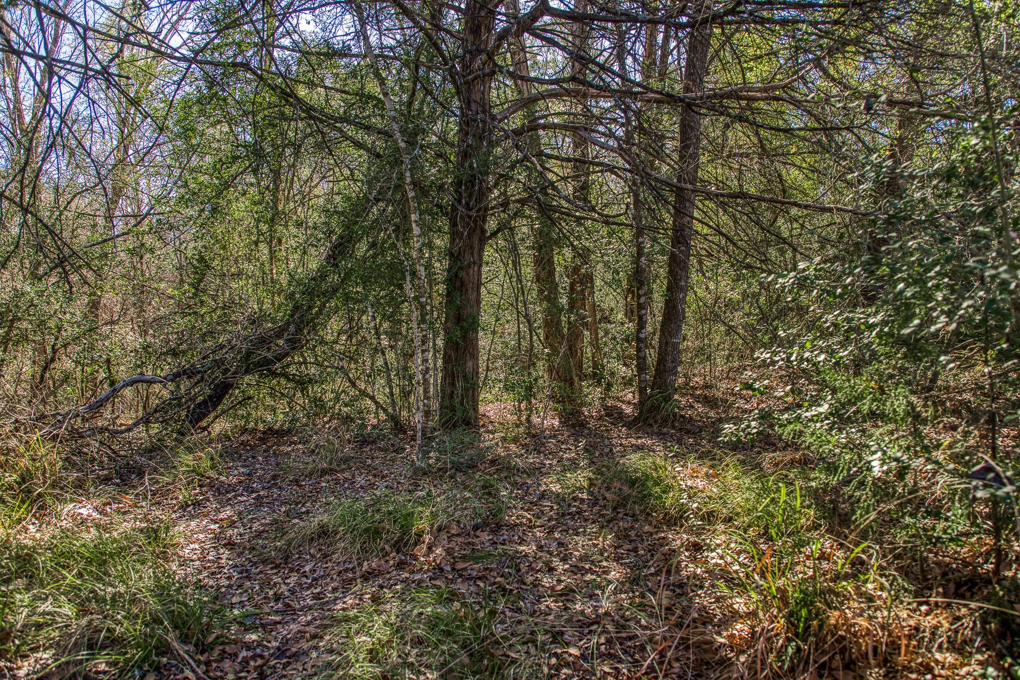 9354 Fm-2780, Burton, TX 77835