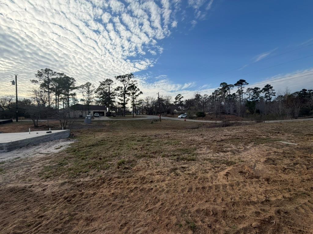 Lot 1574 Pahoiki Ln, Bastrop, TX 78602