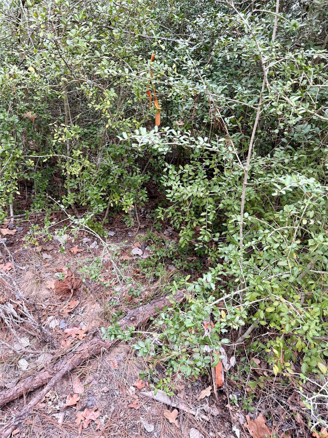 0000 Makaha Dr, Bastrop, TX 78602