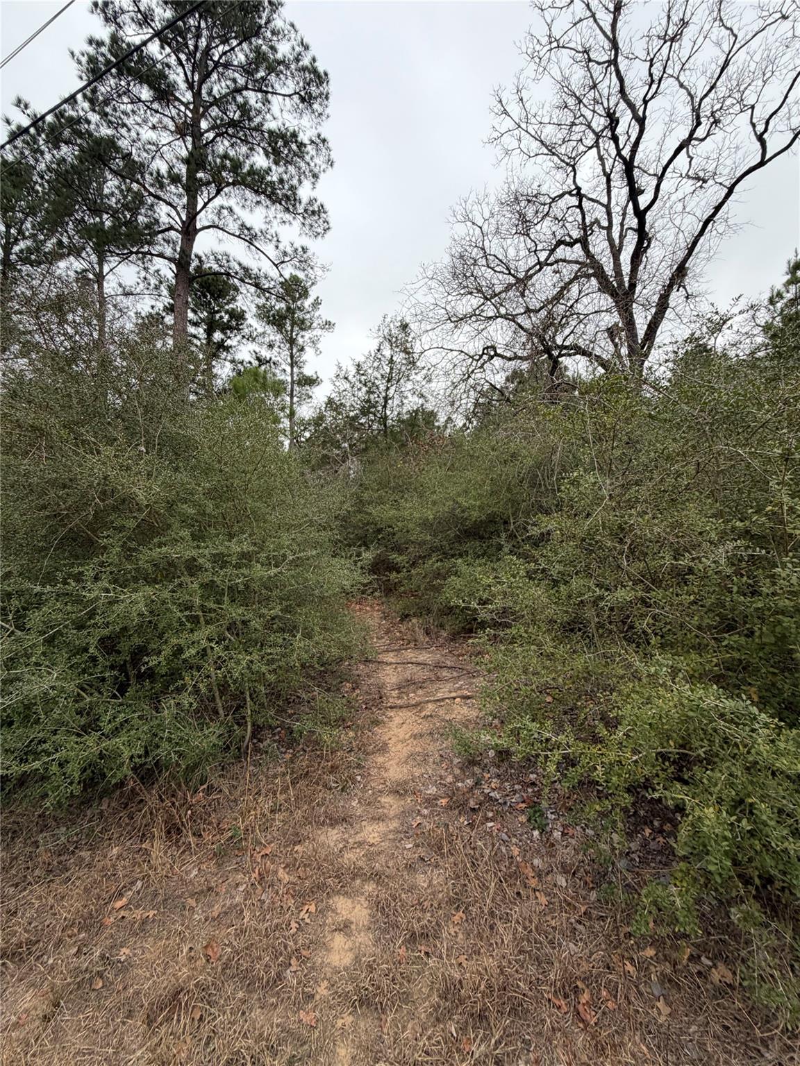 0000 Makaha Dr, Bastrop, TX 78602