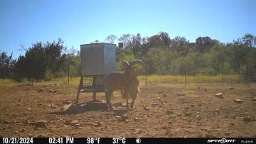 7700 Fm 500, San Saba, TX 76877