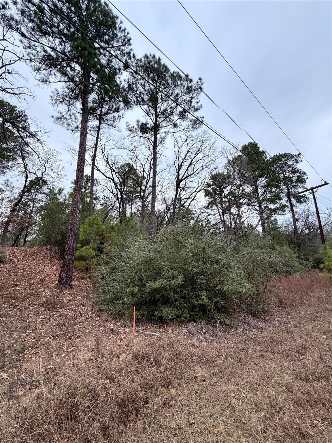 000 Makaha Dr, Bastrop, TX 78602