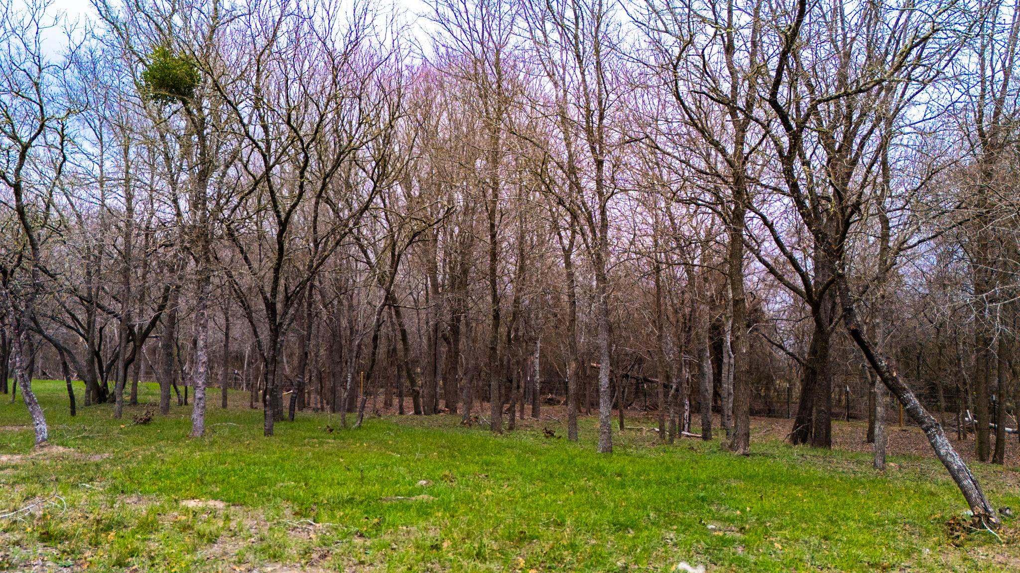 199 Sand Hill Rd, Dale, TX 78616