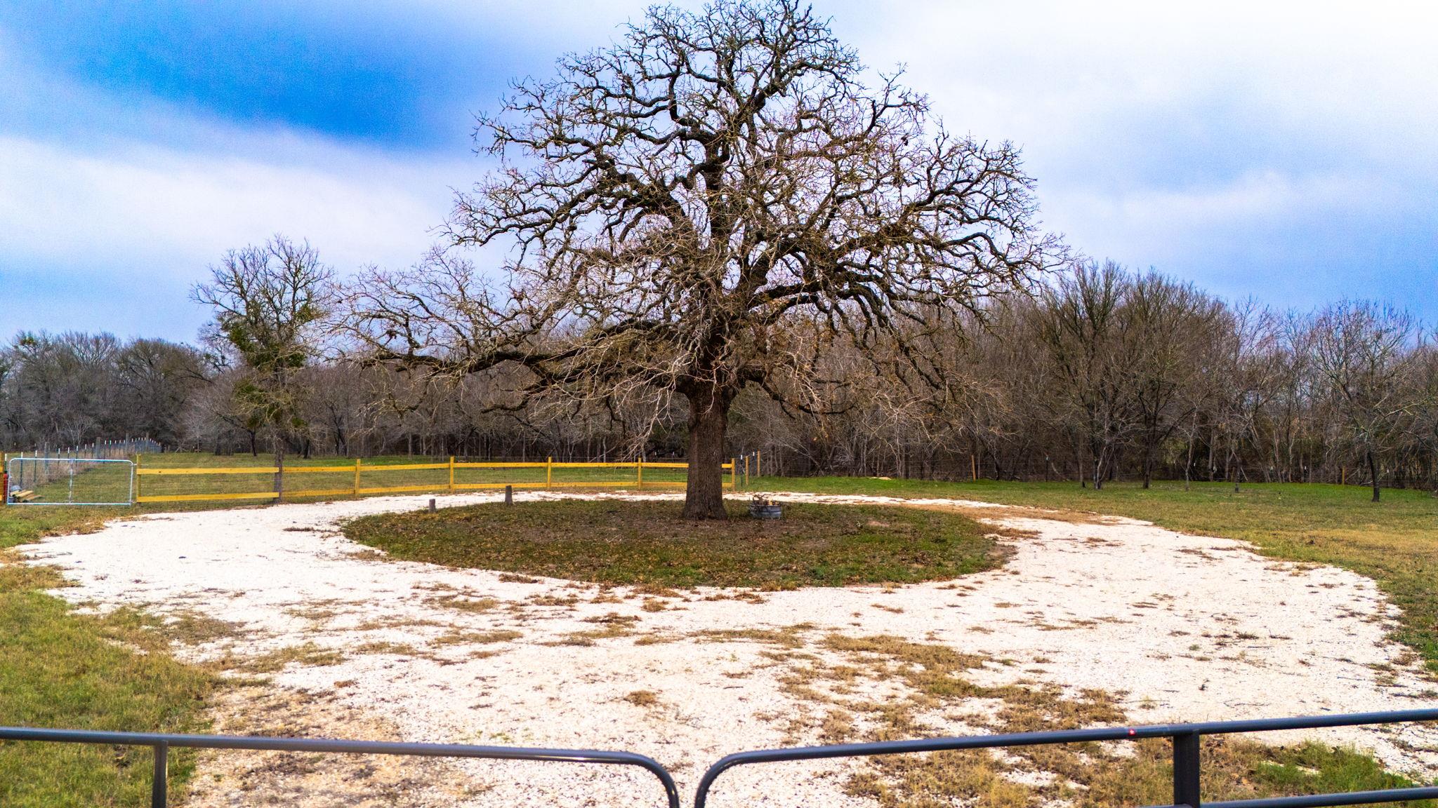 199 Sand Hill Rd, Dale, TX 78616