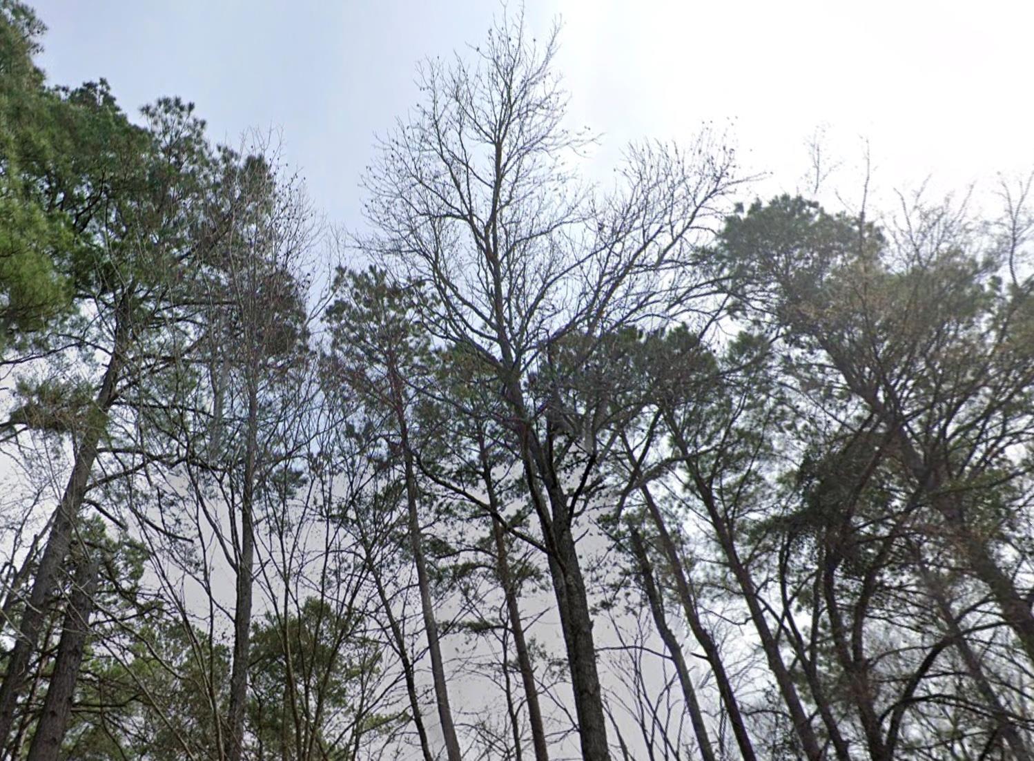 A 1 BLK 1080 TR 5 E C ALL TR 5 E C ALL Frd, Rusk, TX 75785