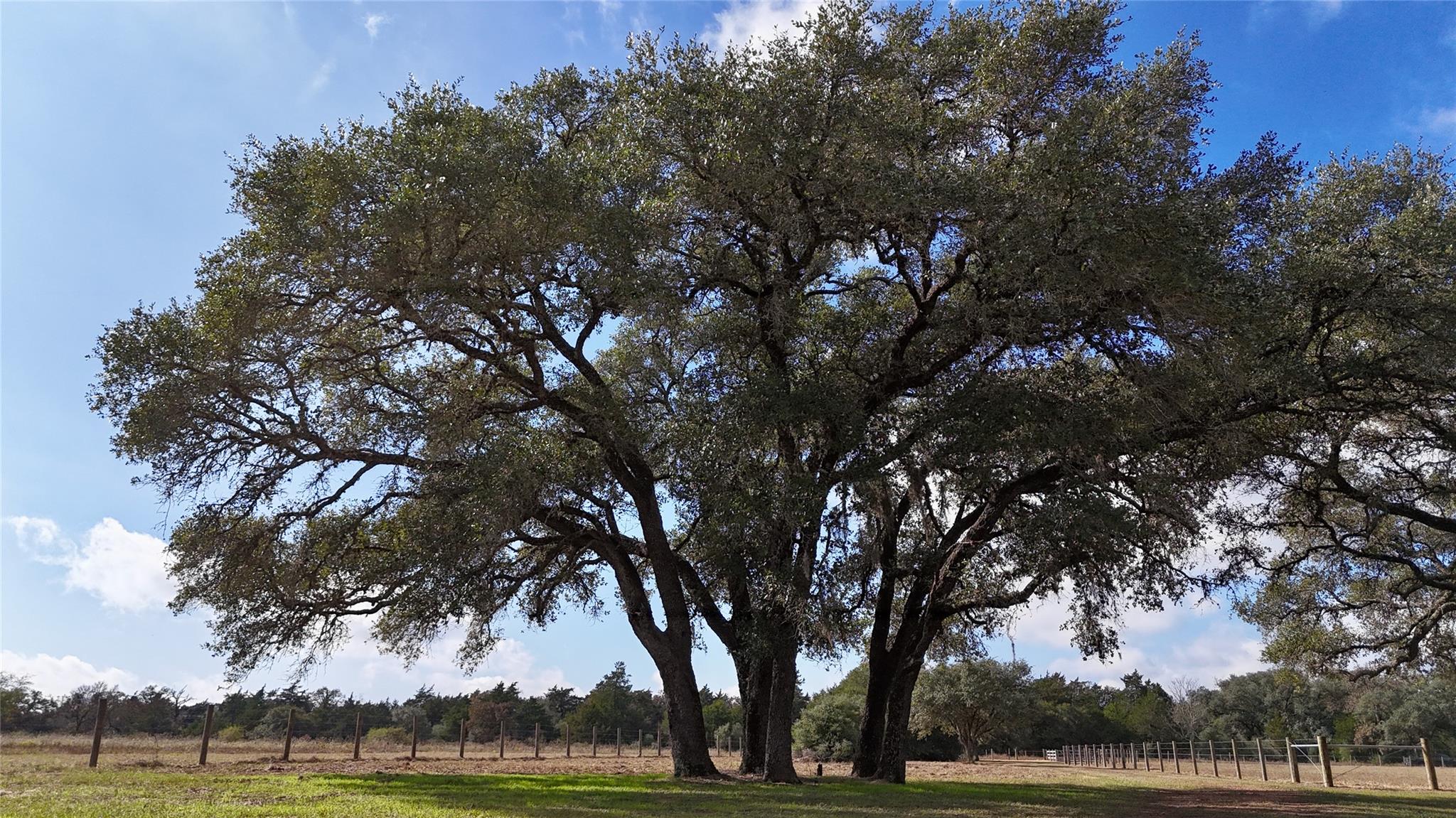 415 County Road 457 Rd, Hallettsville, TX 77964