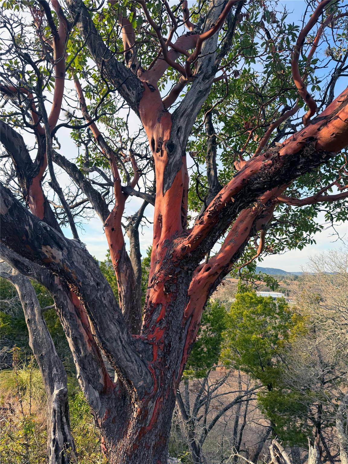 470 Blackbuck Trail Rd # 46, 47, Pipe Creek, TX 78063