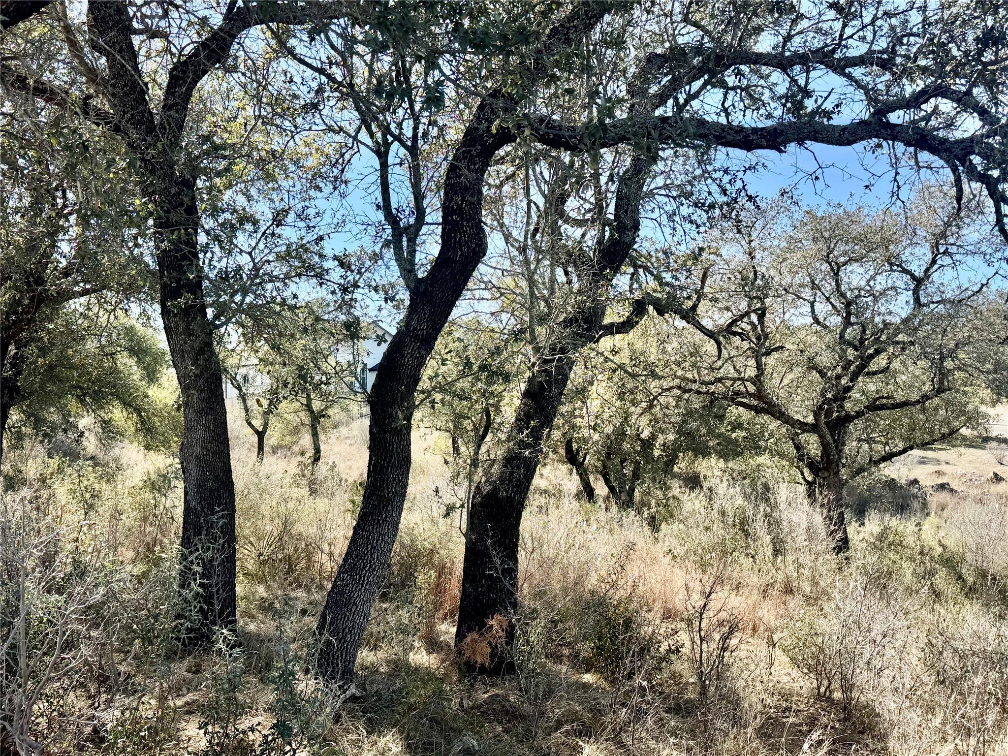 Lot 33 & Lot 34 Prince Peak St, Cottonwood Shores, TX 78657