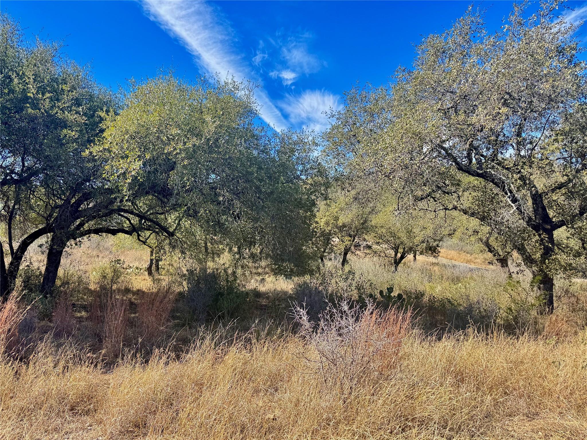 Lot 33 & Lot 34 Prince Peak St, Cottonwood Shores, TX 78657