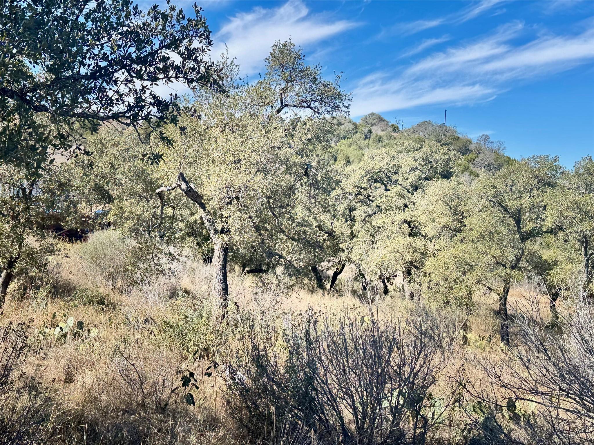 Lot 33 & Lot 34 Prince Peak St, Cottonwood Shores, TX 78657