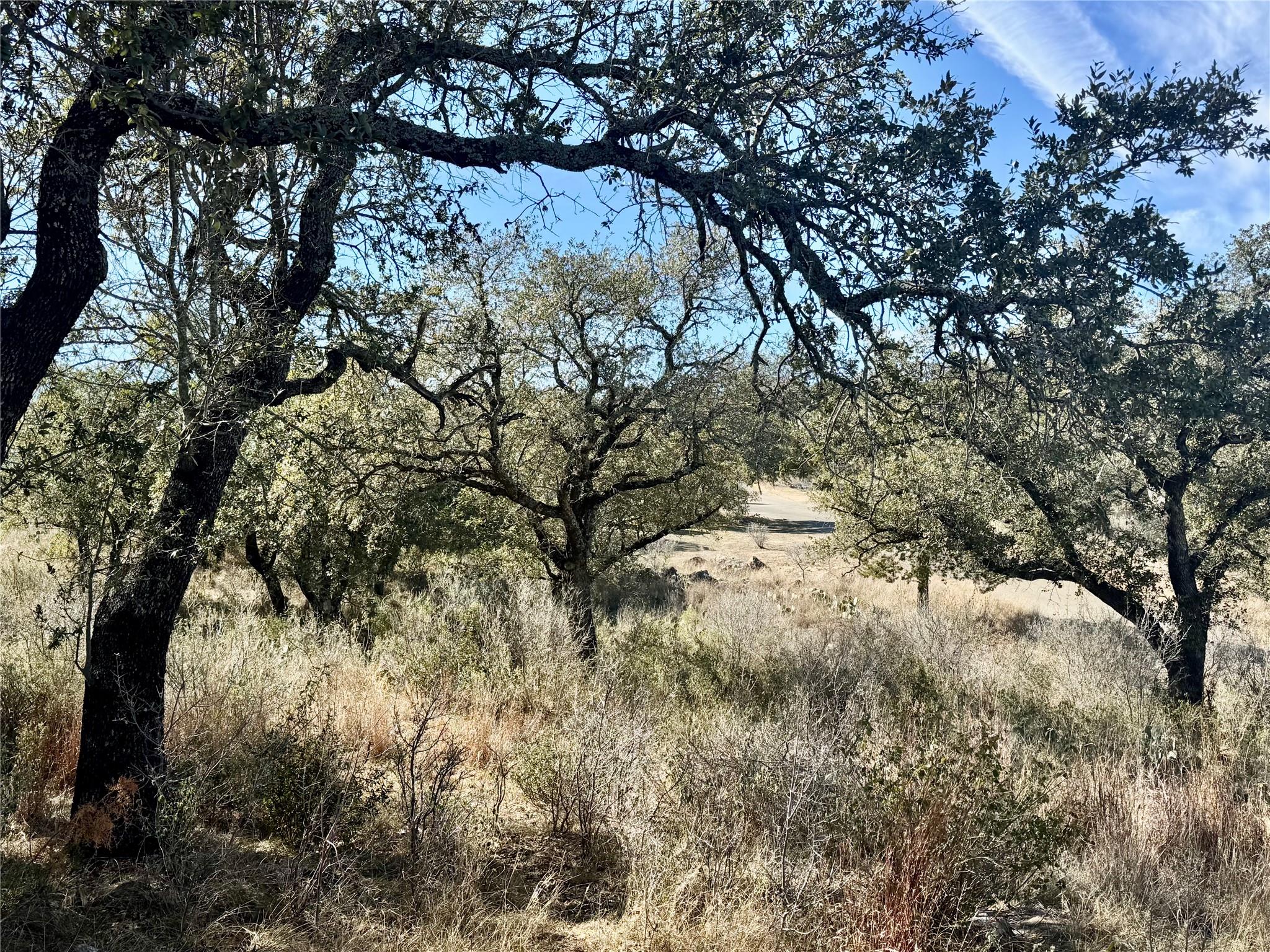 Lot 33 & Lot 34 Prince Peak St, Cottonwood Shores, TX 78657