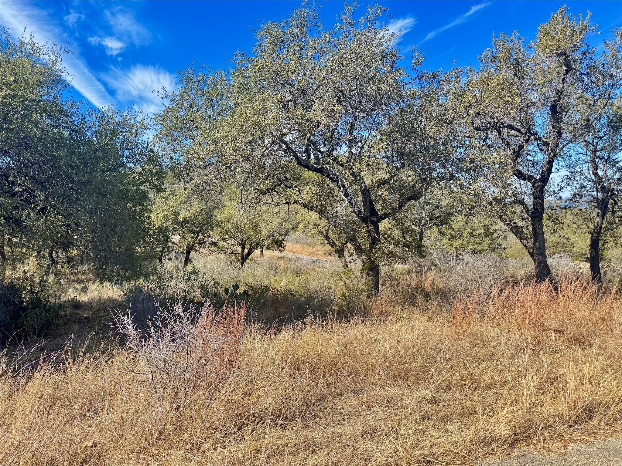 Lot 33 & Lot 34 Prince Peak St, Cottonwood Shores, TX 78657
