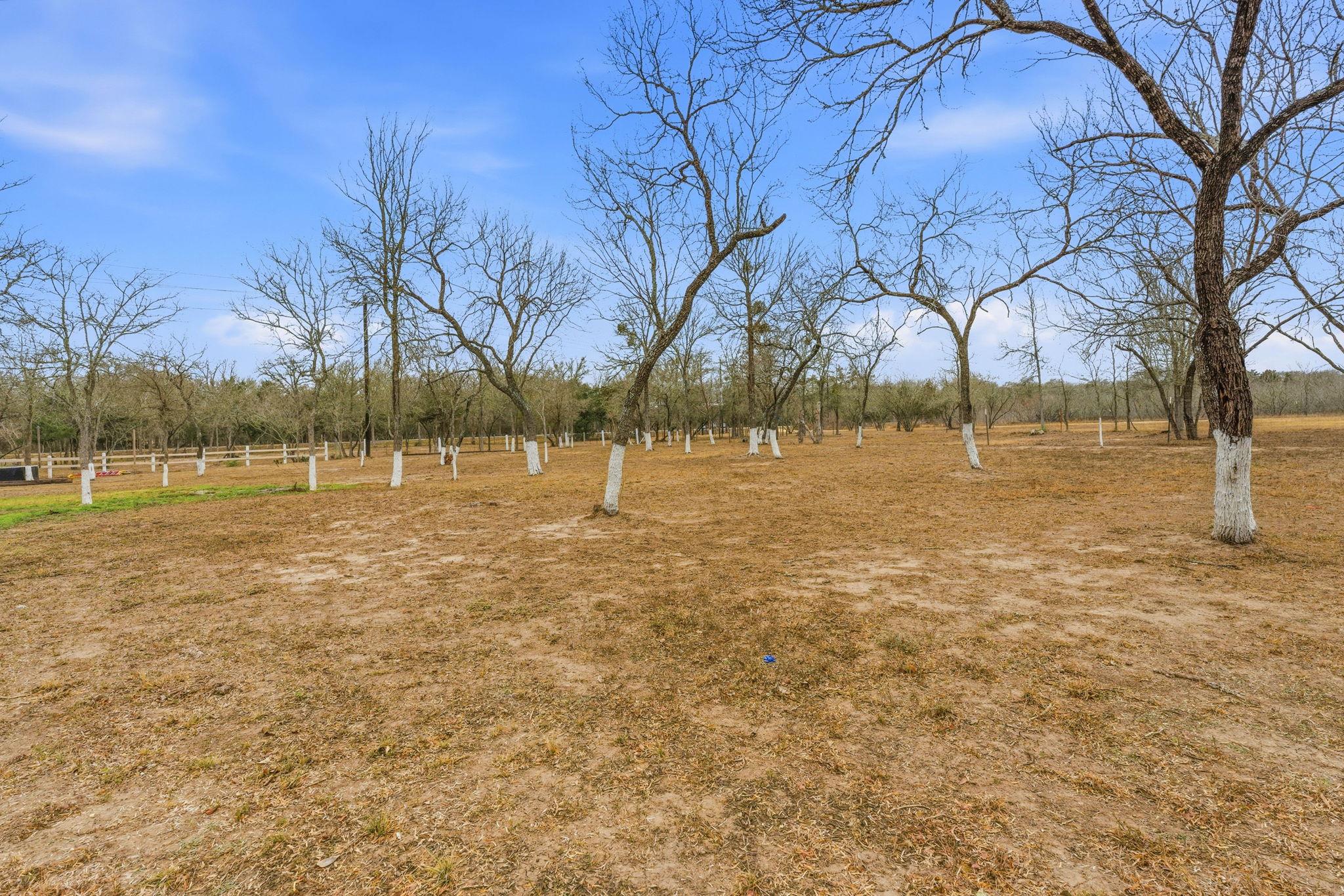 1278 Fm 812 Rd, Cedar Creek, TX 78612