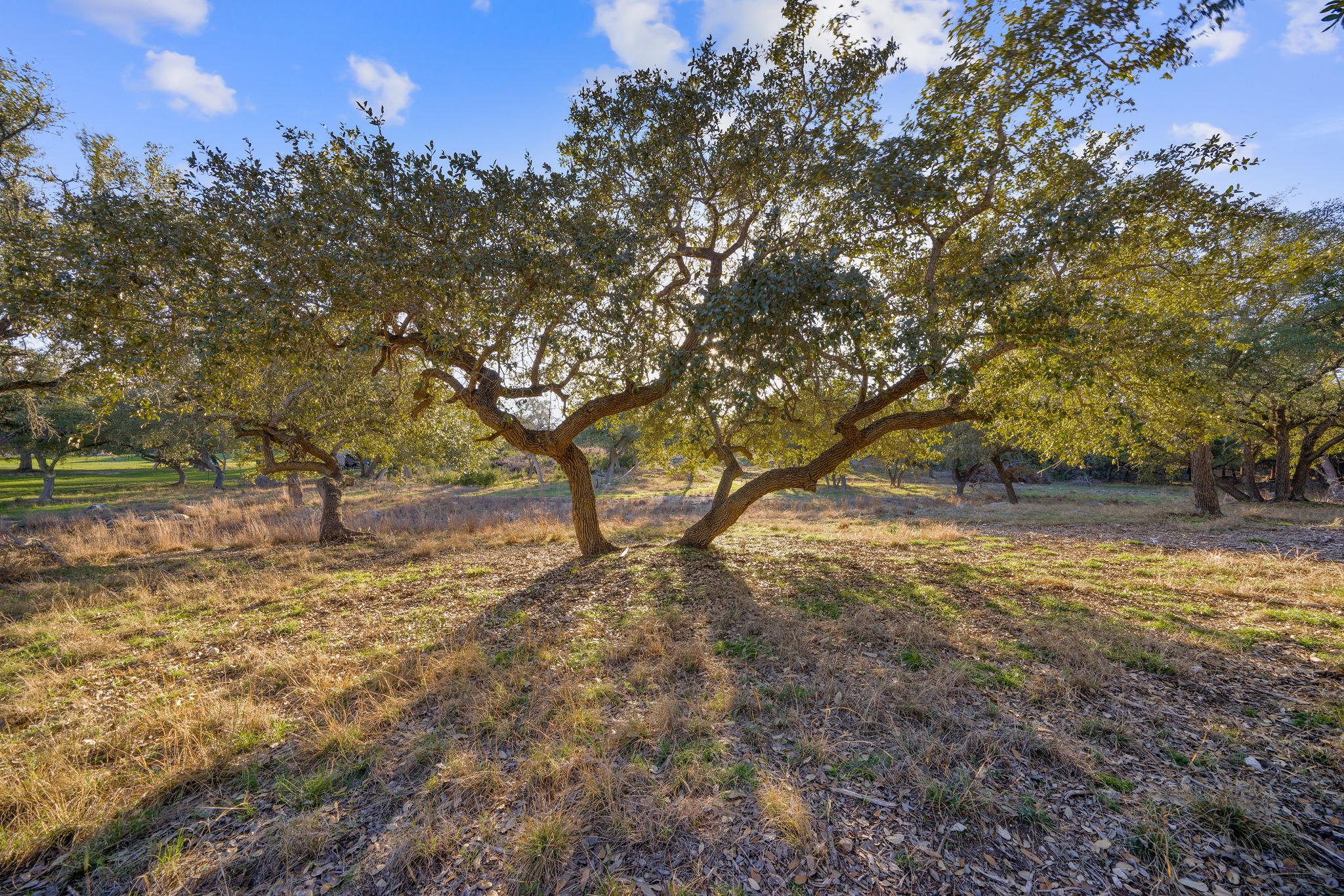 539 Clay Ridge Rdg, Canyon Lake, TX 78133