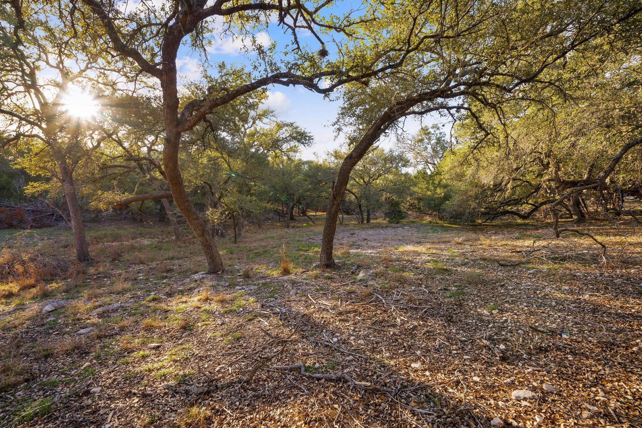 539 Clay Ridge Rdg, Canyon Lake, TX 78133