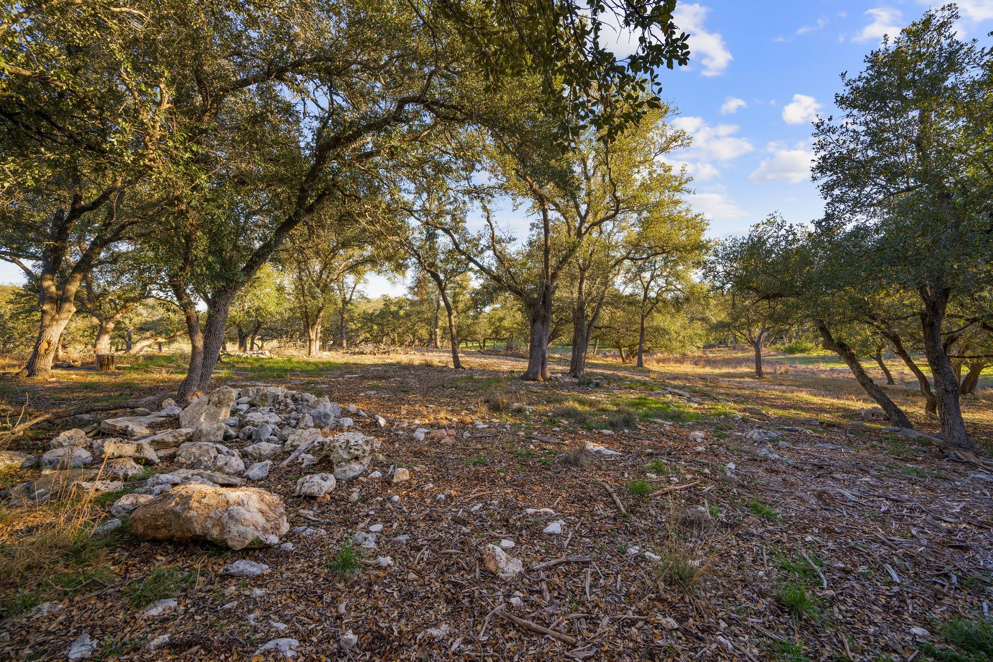 539 Clay Ridge Rdg, Canyon Lake, TX 78133