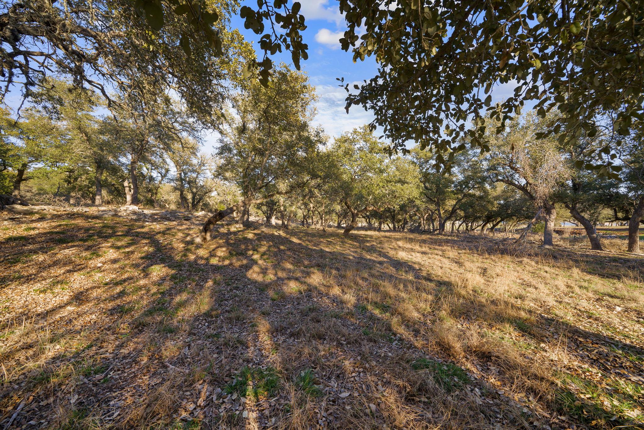 539 Clay Ridge Rdg, Canyon Lake, TX 78133