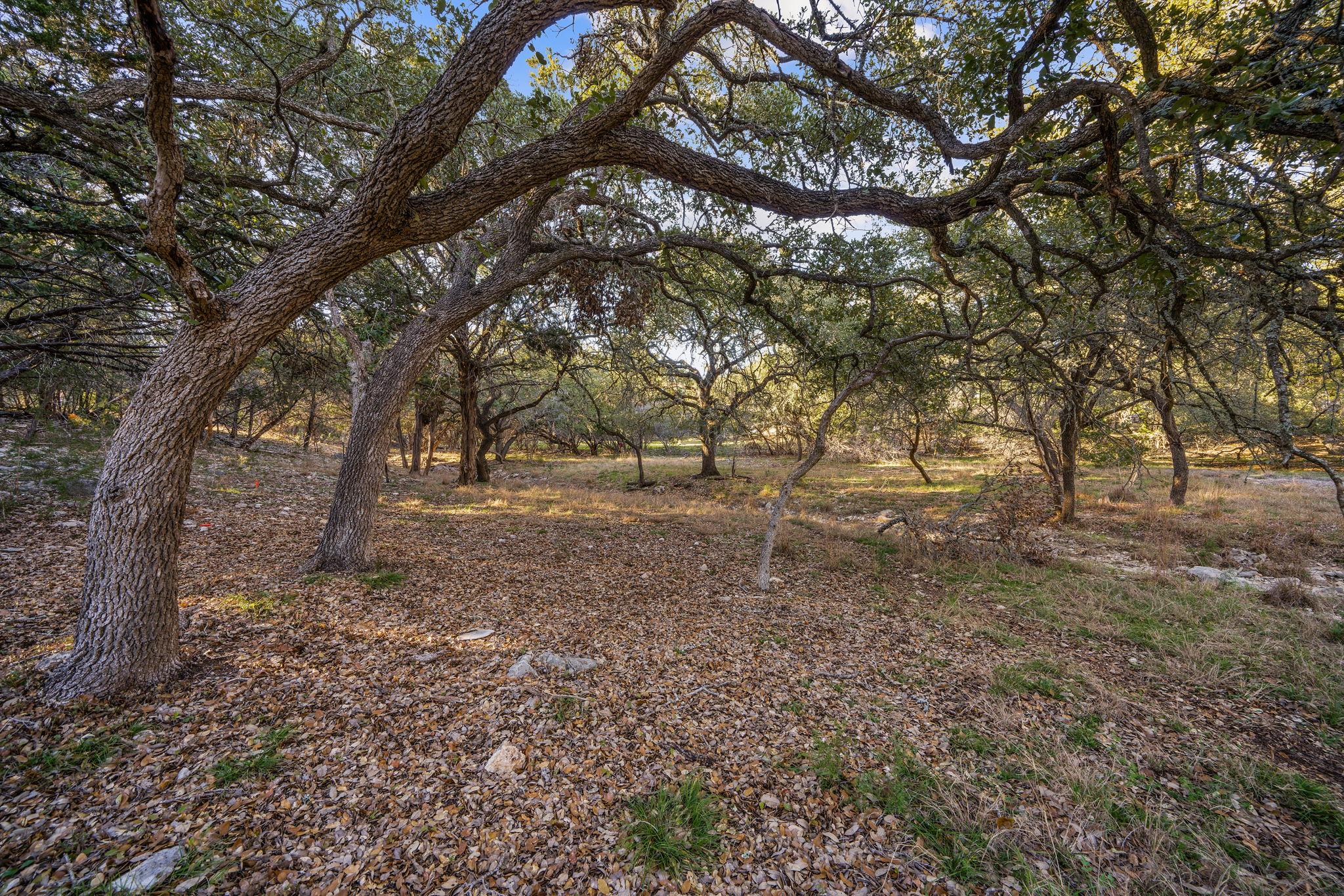 539 Clay Ridge Rdg, Canyon Lake, TX 78133