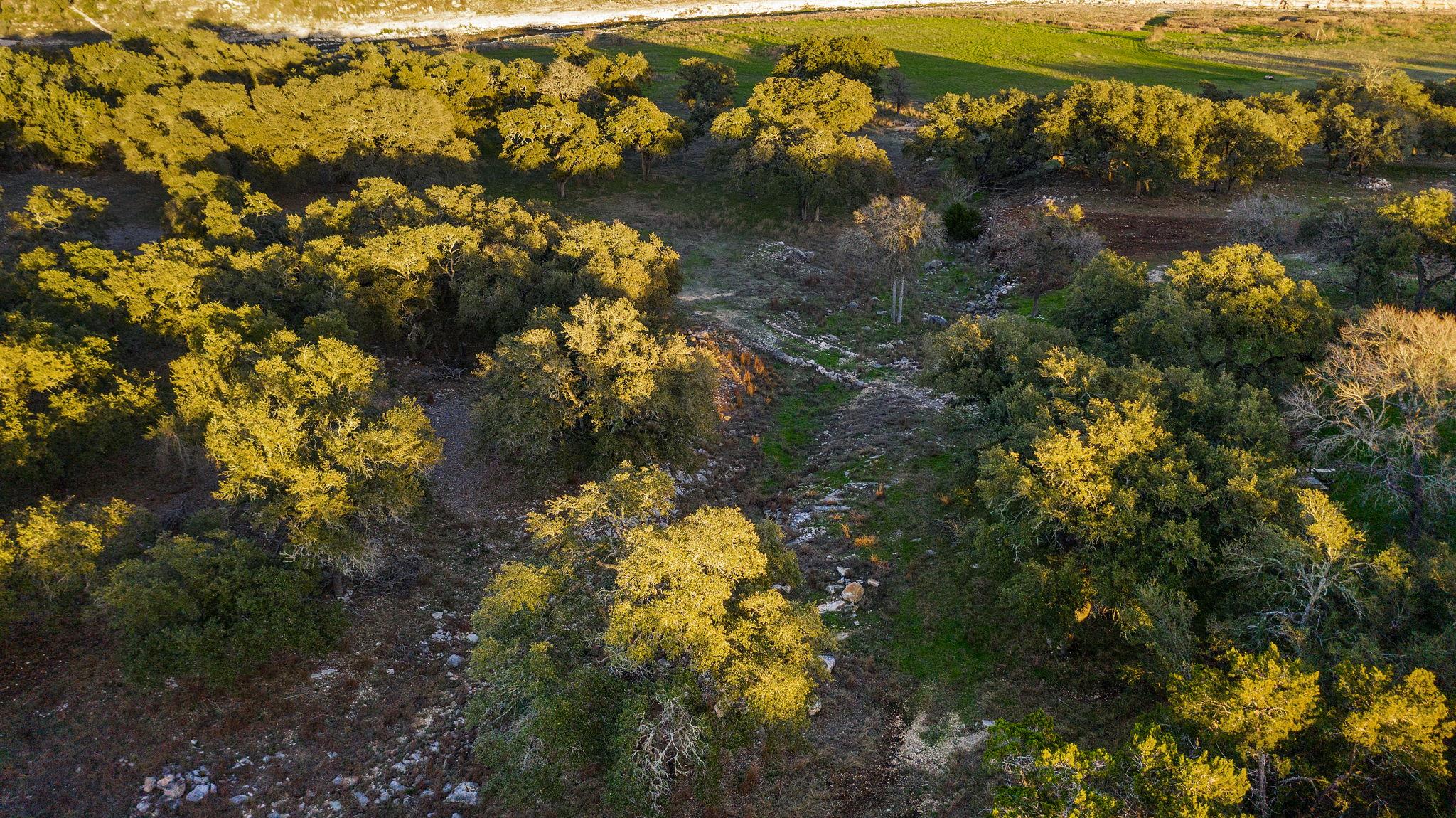 539 Clay Ridge Rdg, Canyon Lake, TX 78133