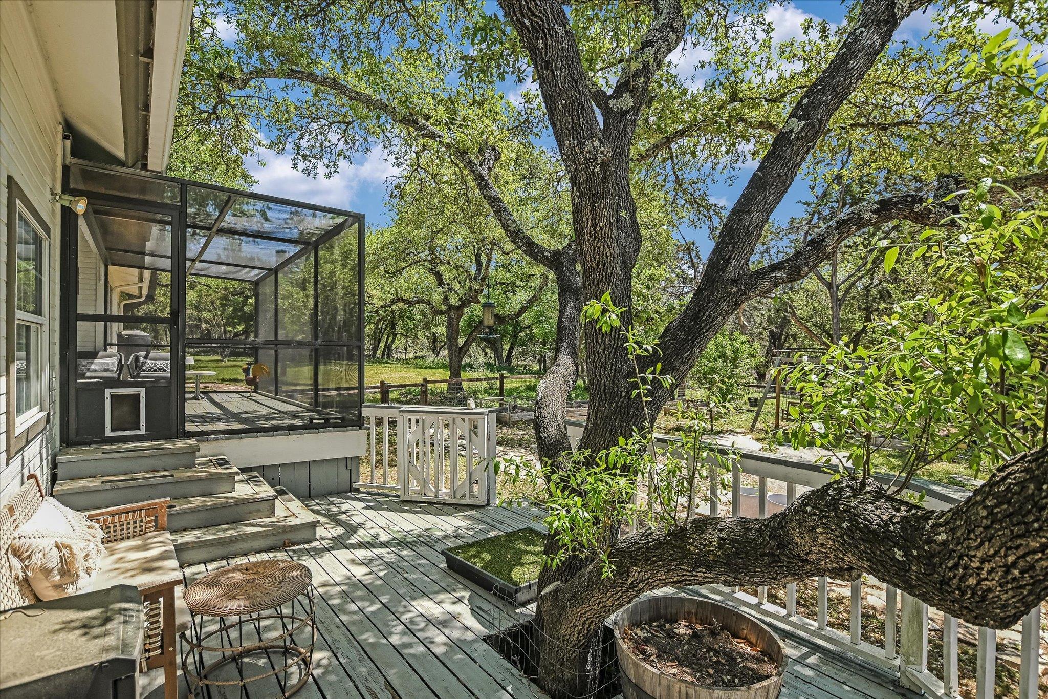 12201 Painted Bunting Dr, Austin, TX 78726