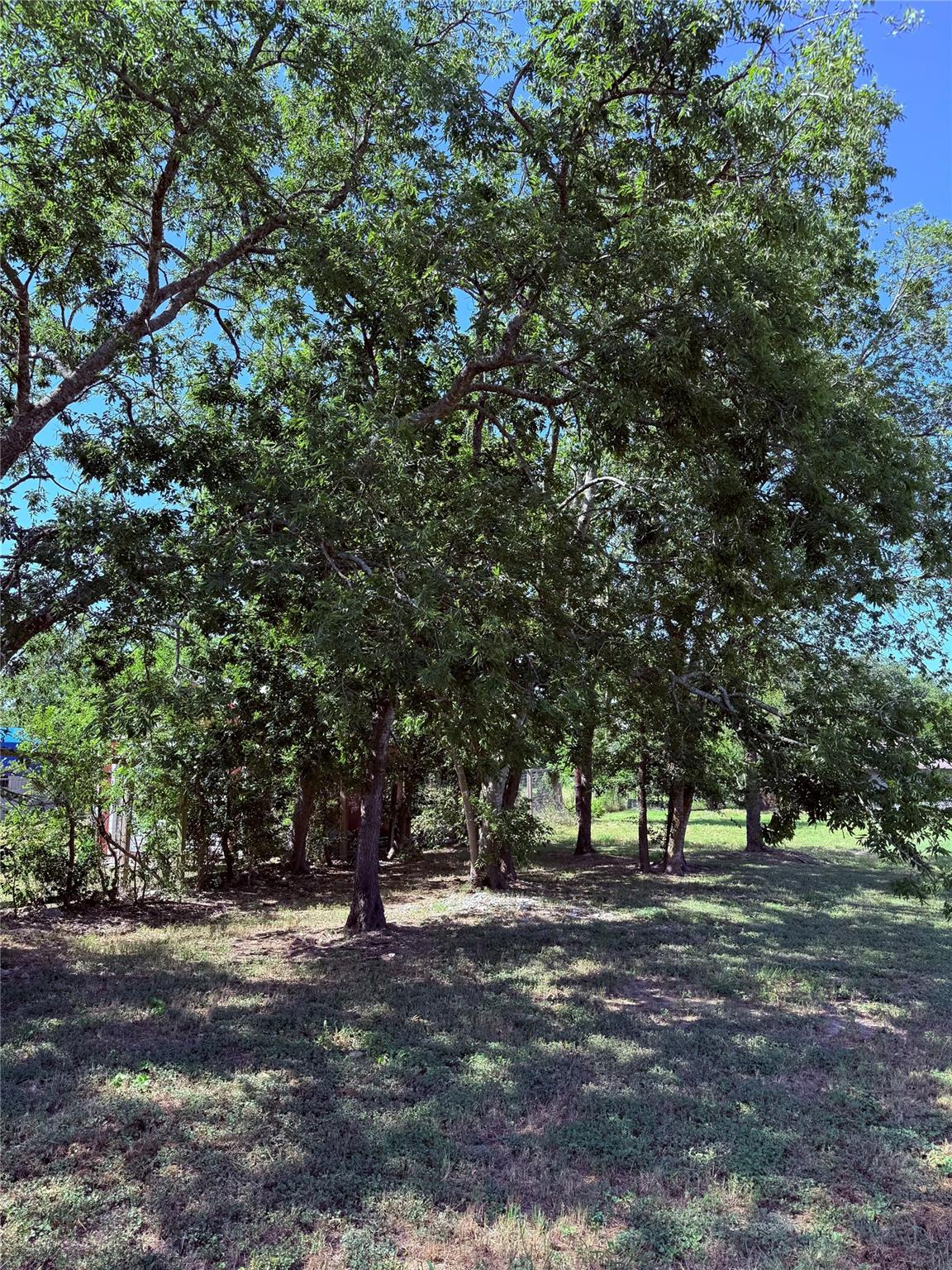 200 Carl Shipp Dr, Liberty Hill, TX 78642