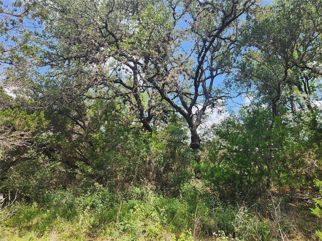 1700 Lime Kiln Rd # 4, San Marcos, TX 78666