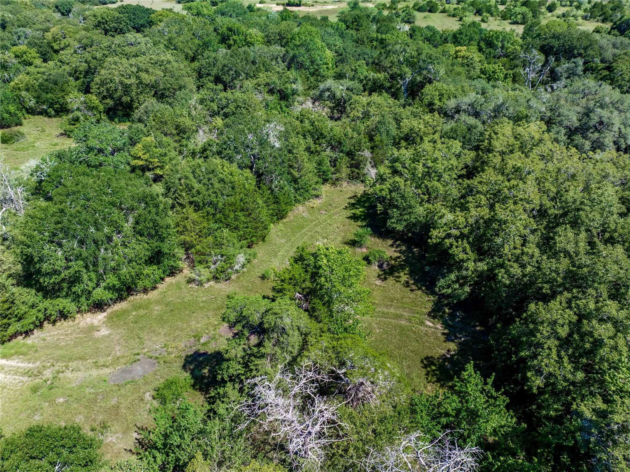 TBD CR 253, Weimar, TX 78962