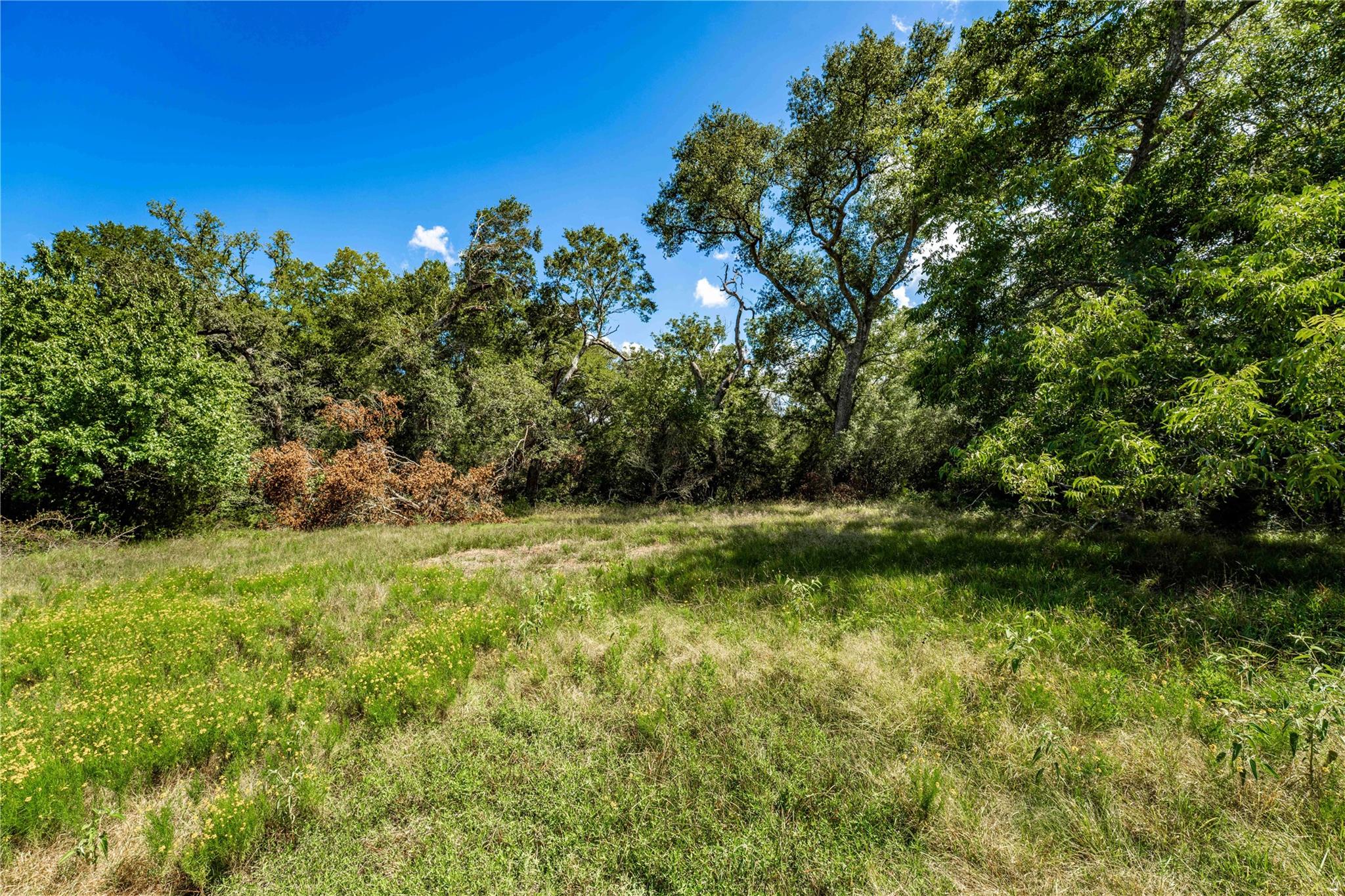 TBD CR 253, Weimar, TX 78962