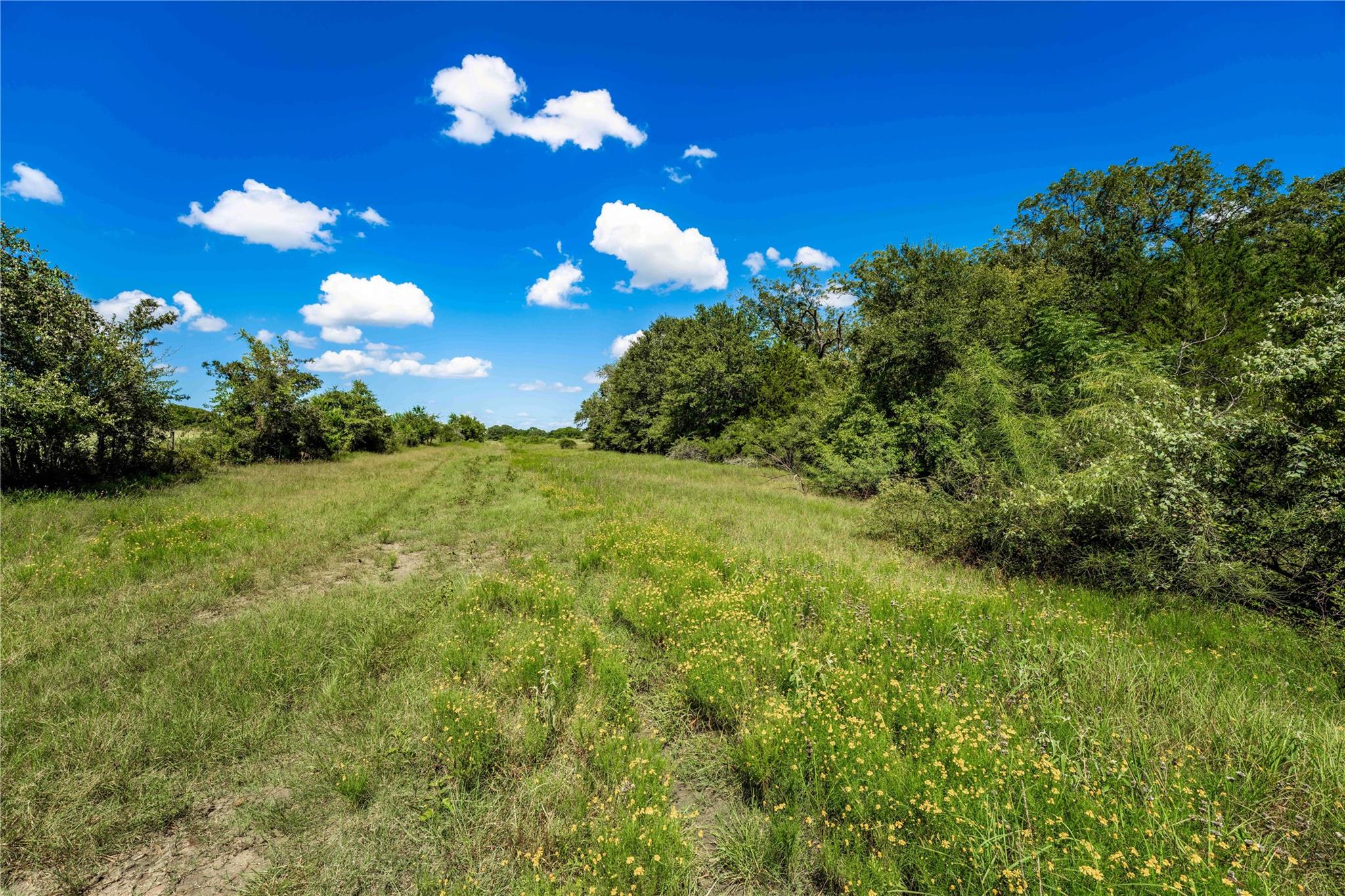 TBD CR 253, Weimar, TX 78962