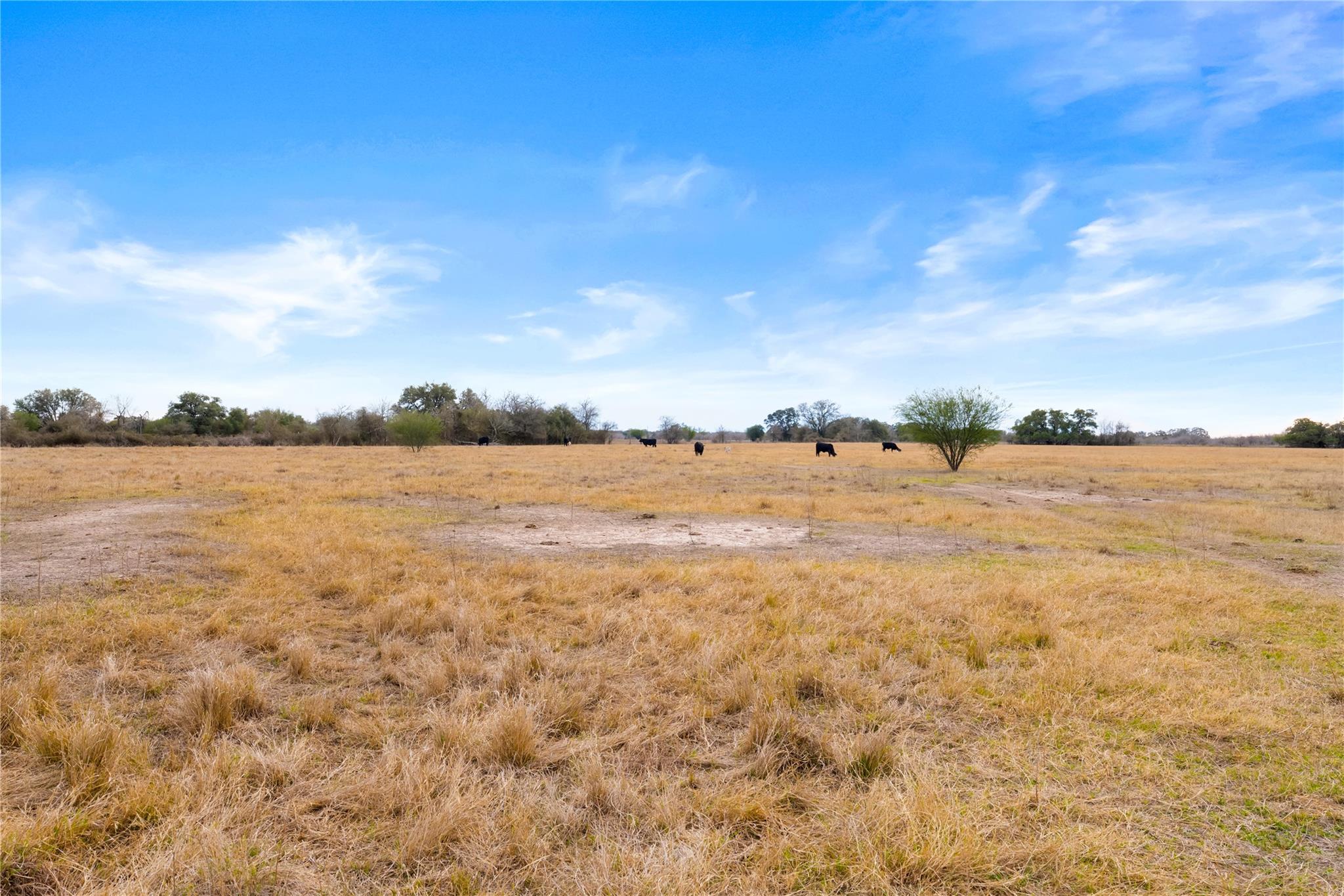 3650 E Austin St, Giddings, TX 78942
