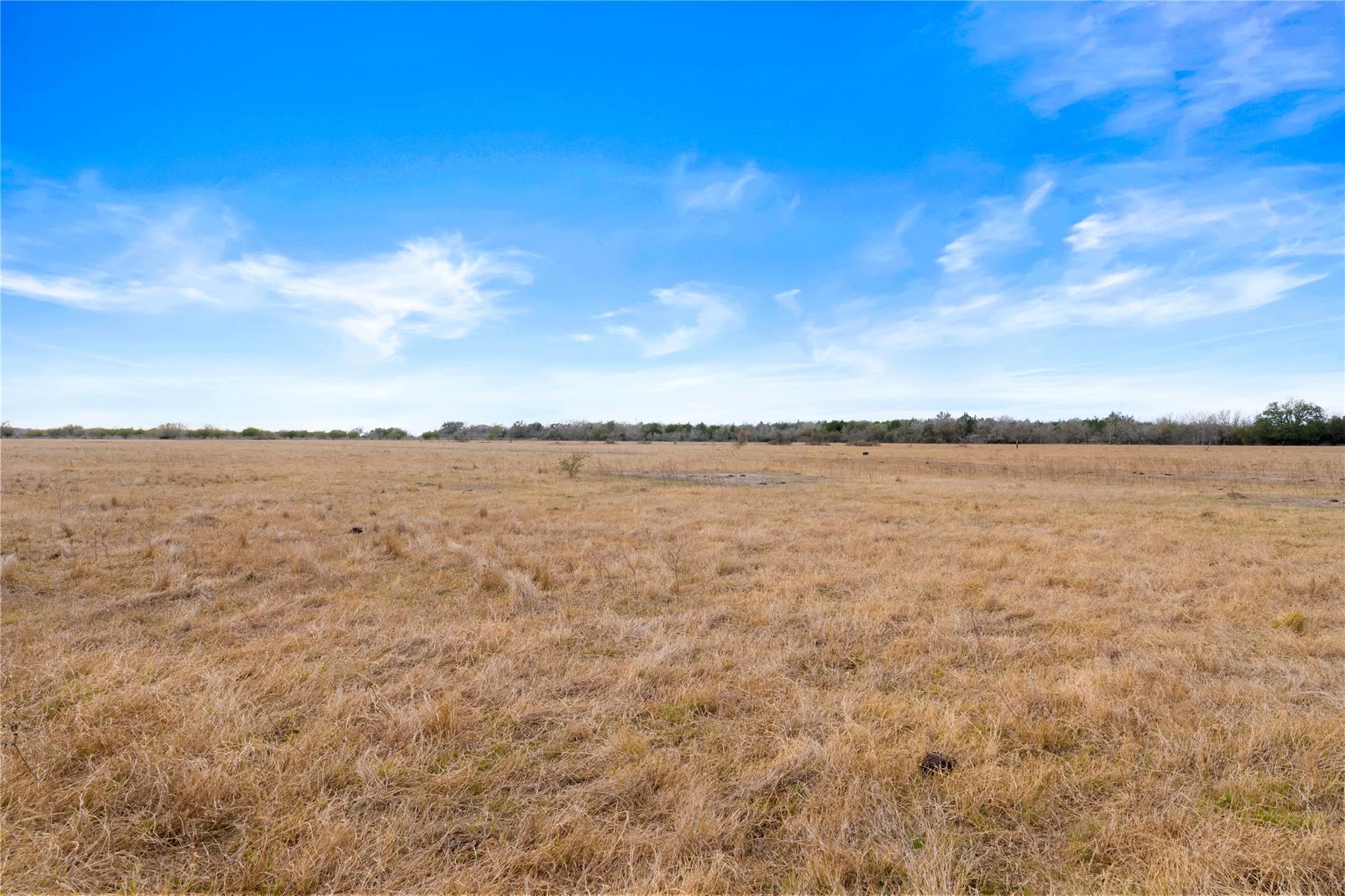 3650 E Austin St, Giddings, TX 78942