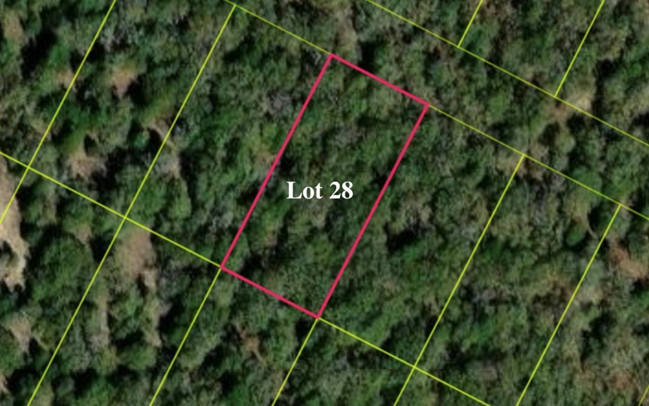 131 Los Robles Rd, Elgin, TX 78621