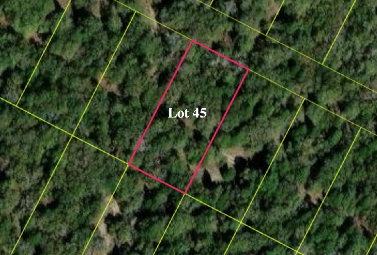 137 Las Alturas Dr, Elgin, TX 78621