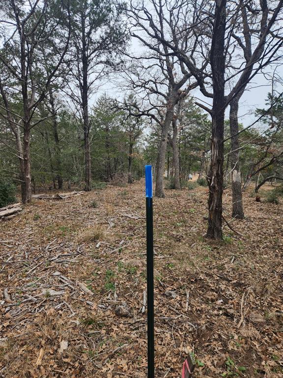 00 Milam Ln, Bastrop, TX 78602