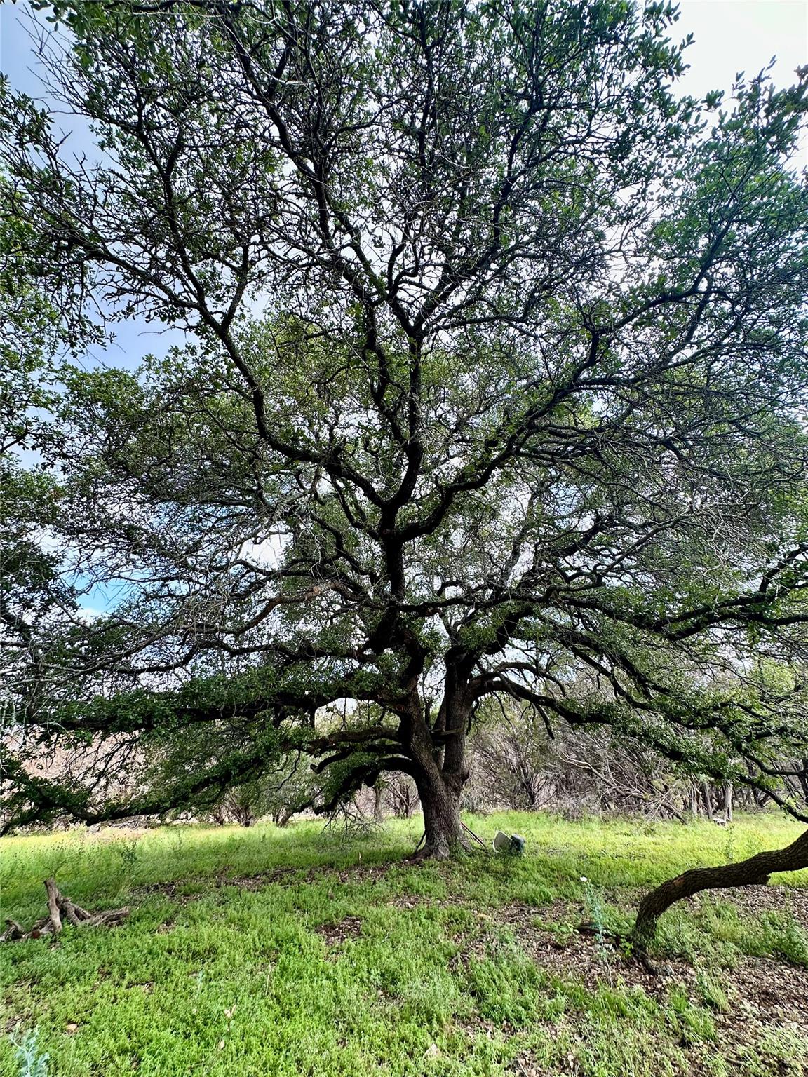 285 Donnie Dr, Lampasas, TX 76550