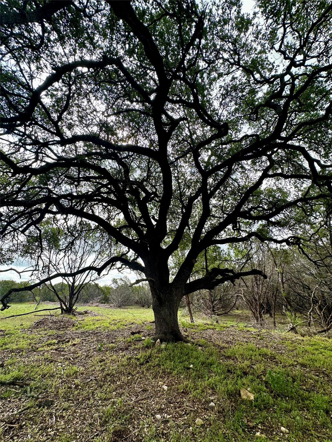 285 Donnie Dr, Lampasas, TX 76550