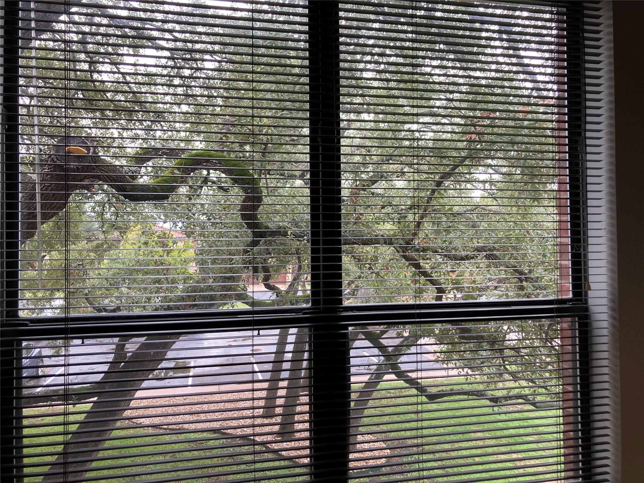 11824 Jollyville Rd # 503, Austin, TX 78759