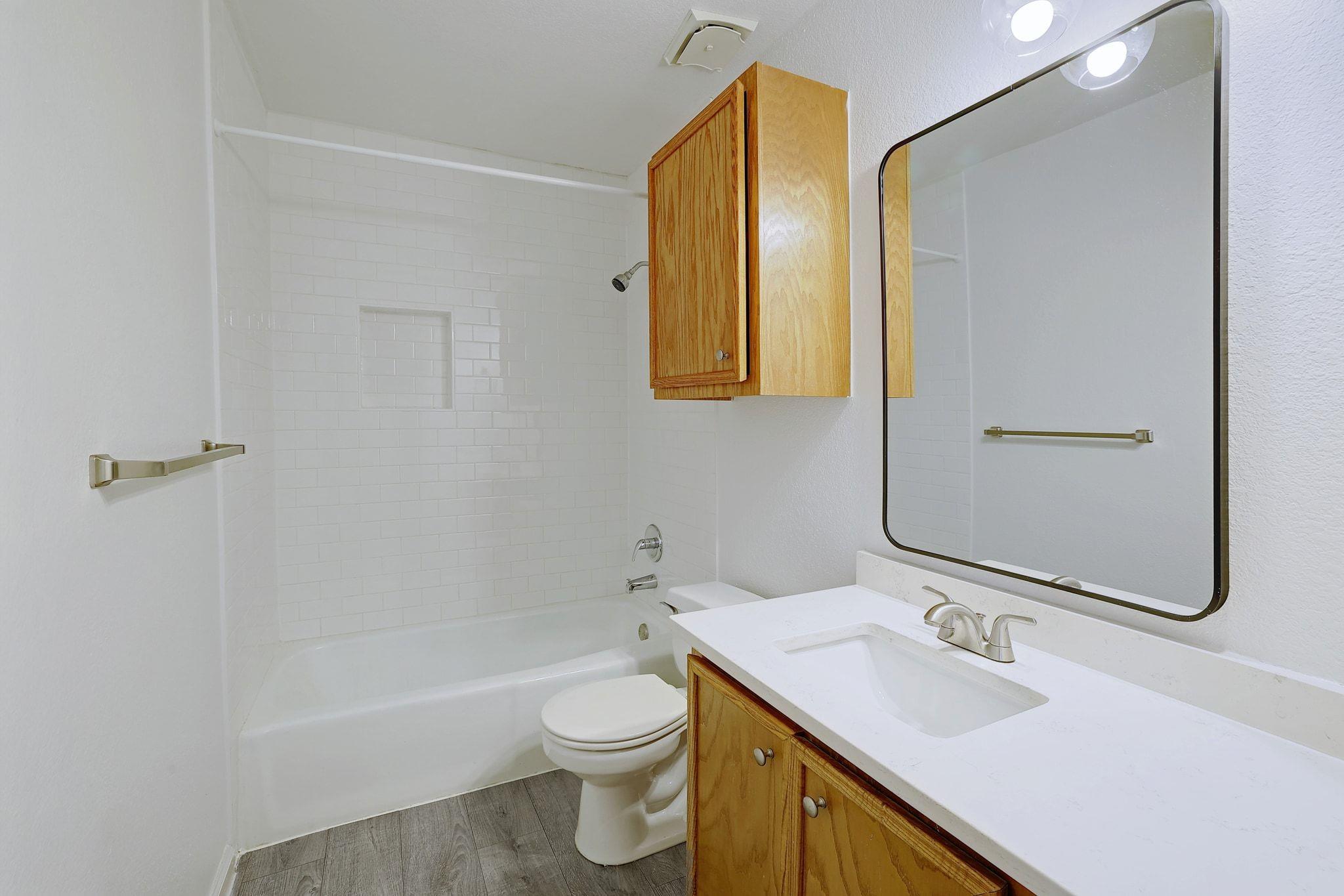 1314 Zephyr Ln, Round Rock, TX 78664