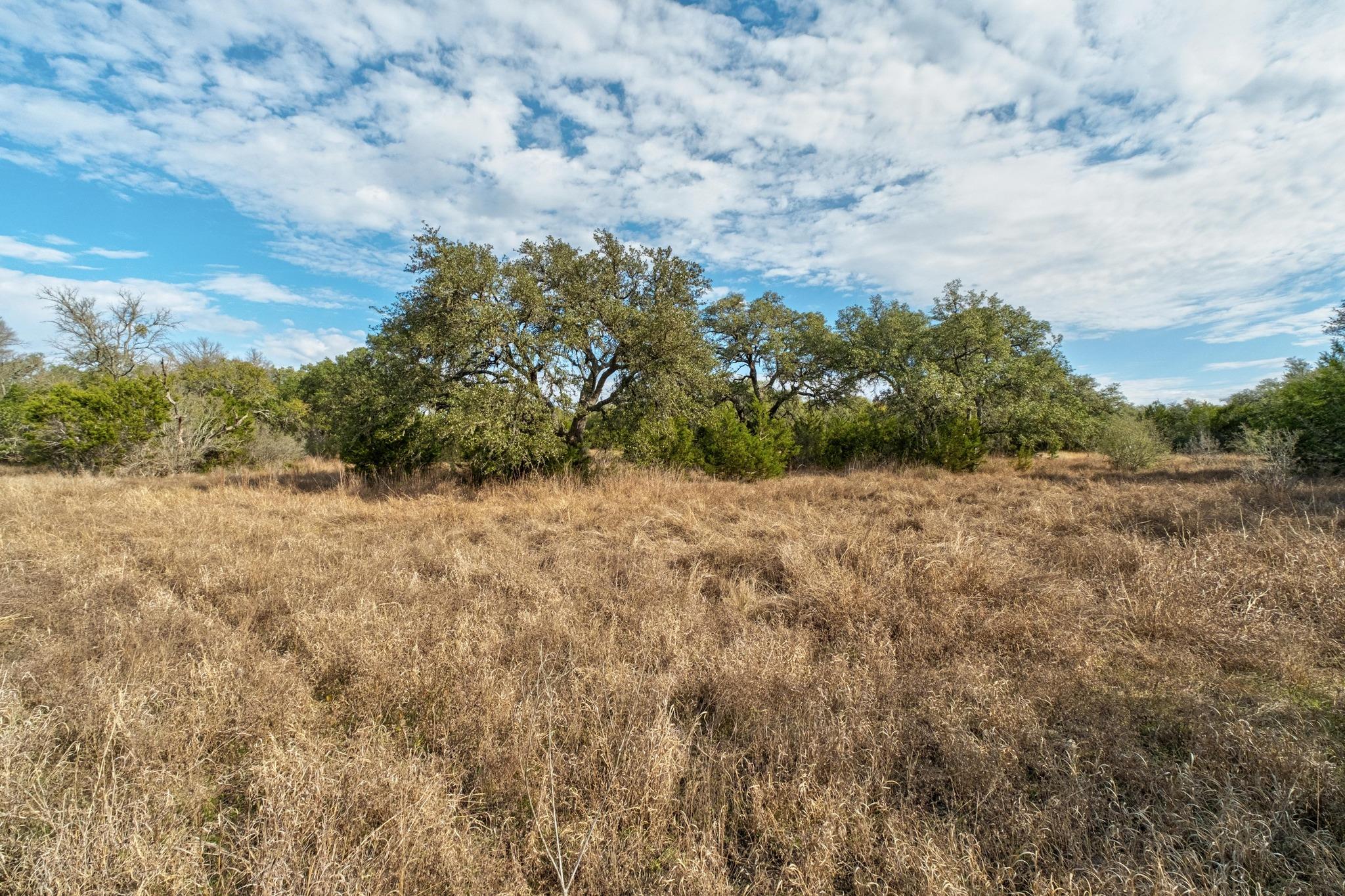 TBD W FM150, Driftwood, TX 78619