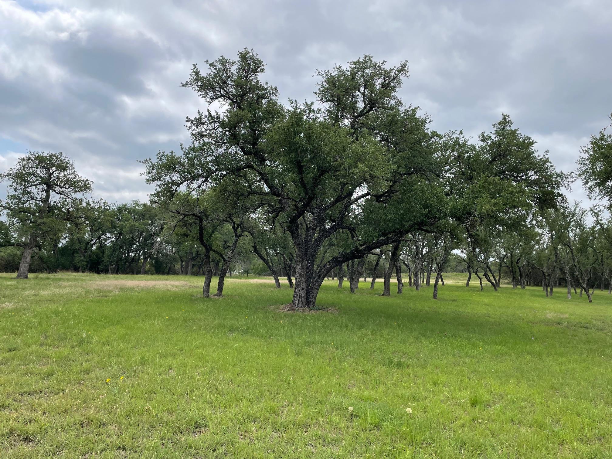 762 Morning Dew Dr, Round Mountain, TX 78663