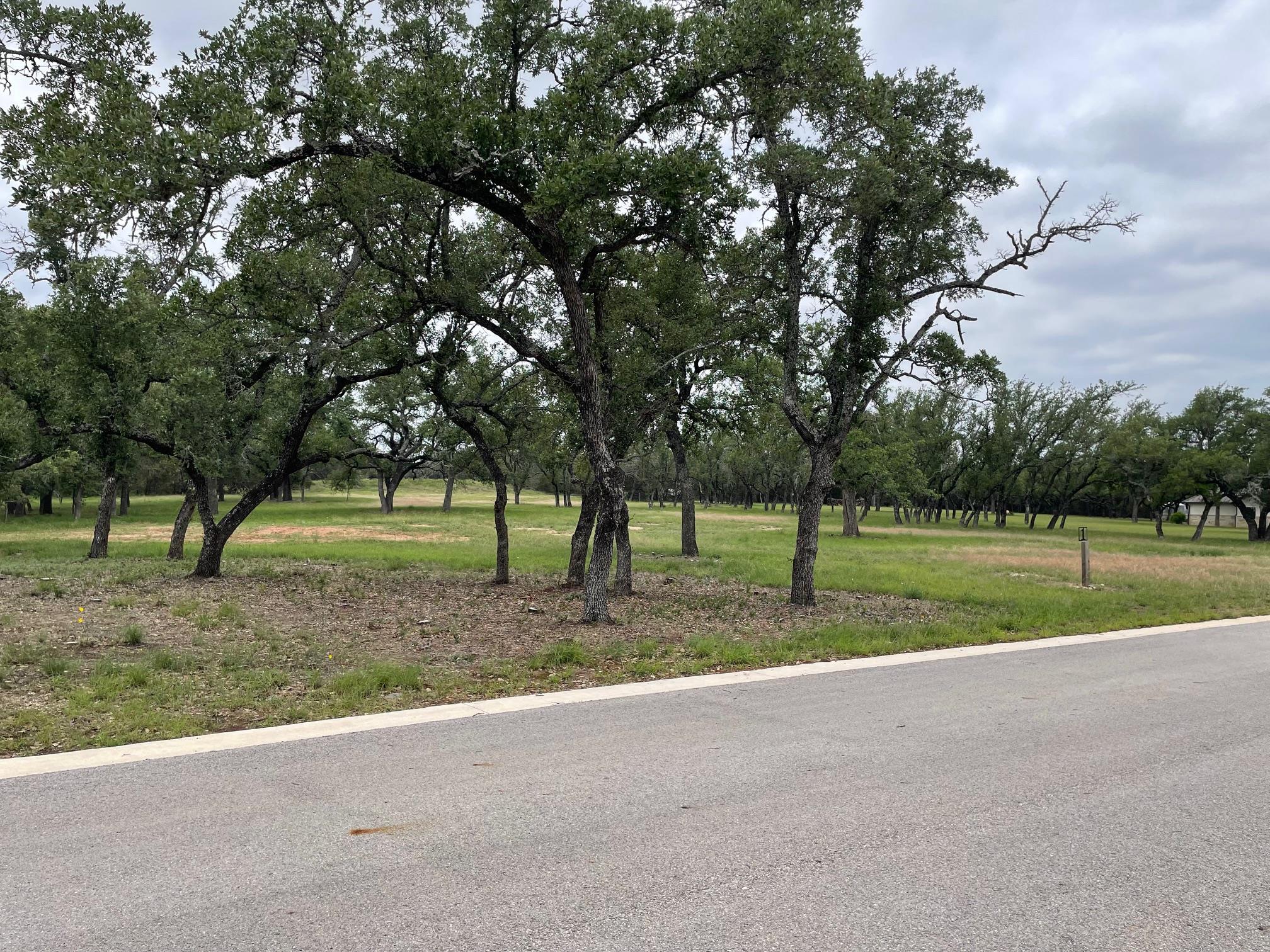 762 Morning Dew Dr, Round Mountain, TX 78663